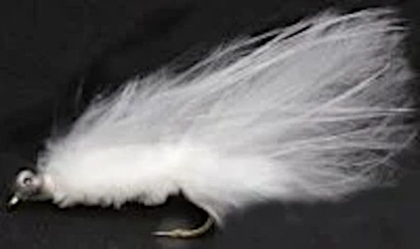 10 X  Cats whisker,White #10 barbed [CAT15]