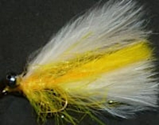 10 X  Cats whisker,White and Yellow Straggle #10 barbed [CAT5]