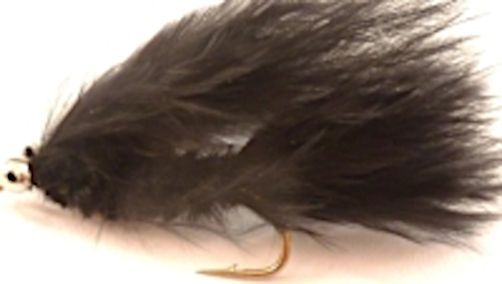 10 X  Cats whisker, Black #10 barbed [CAT10]