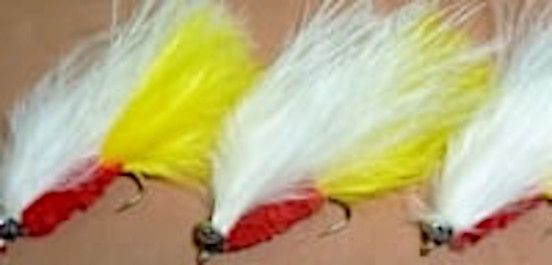 10 X  Cats whisker, Budgie , #10 barbed [CAT 7]