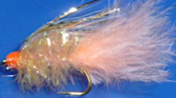 10 X  Cat,Peachy sparkler #12 [CAT 19]