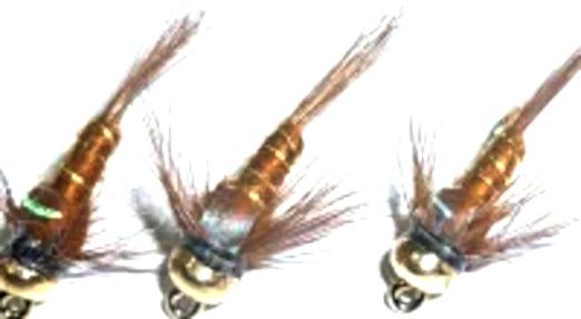 10  X  Damsel nymph -  Brown - Gold head- flash back #10 barbed / DAM 6