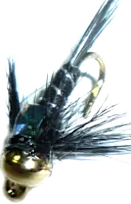 10  X  Damsel nymph - Black - gold head- flash back #12 barbed / DAM 5