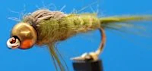 10  X  Damsel nymph - Olive - gold head- #12 barbed / DAM 27