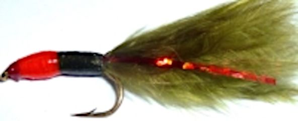 10  X  Damsel nymph -  Olive Red head #12 barbed / DAM 2