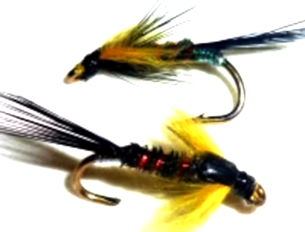 10 X  Diawl bach,Sunburst marabou buds #12 / D26