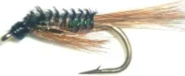 10 X Diawl bach,Ginger Quill #12 / D30