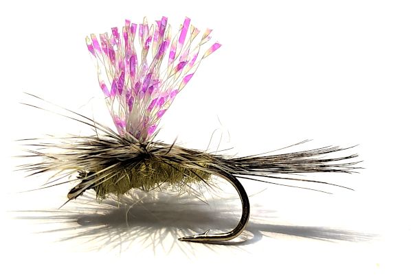 Parachute - Gulpher special Olive#14 / CP14