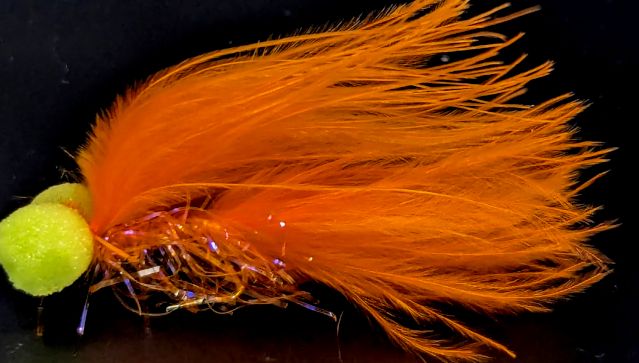 Booby Orange  UV straggle fritz Yellow eyes BB60