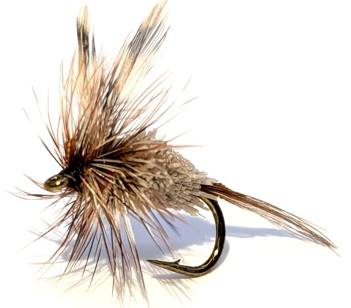 Adams irresistible # 14 DR26