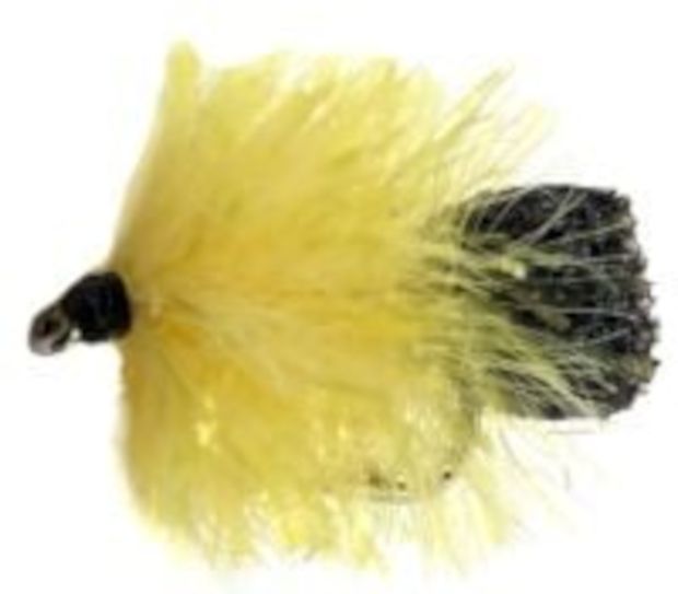 5 X Fab ,yellow  and Black #10 barbed / F 21