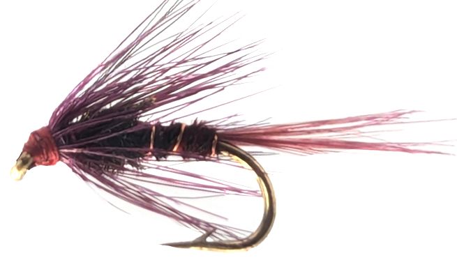 Cruncher,Claret wih copper  Rib   #12 [CR16]