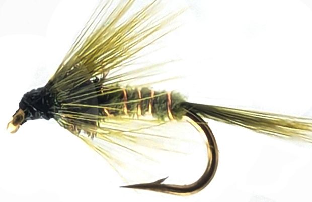 Cruncher,Olive  #12 [CR15]