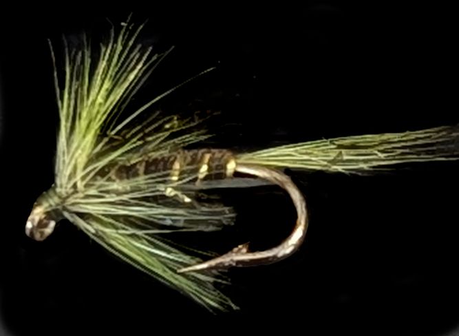 Cruncher Olive straggle #12 barbed [CR 10]