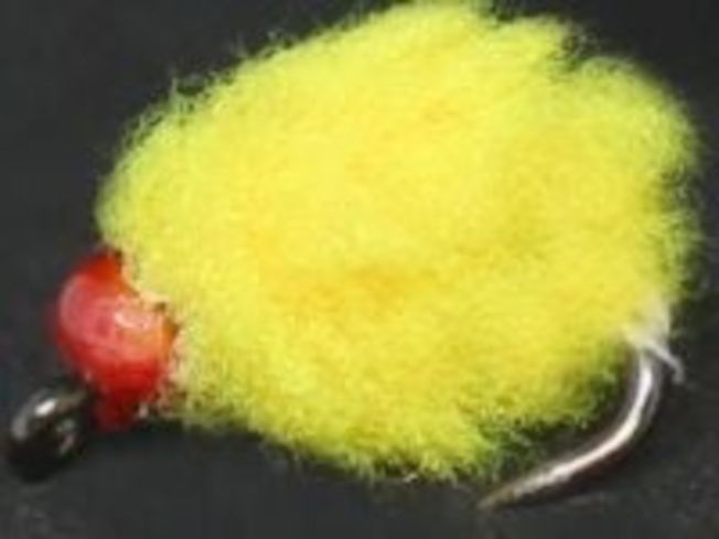 Eggstasy egg ,Sunburst - hot head Red / E81.