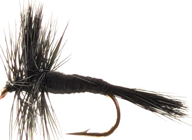 Wulf Black  #12 Darbed DR29