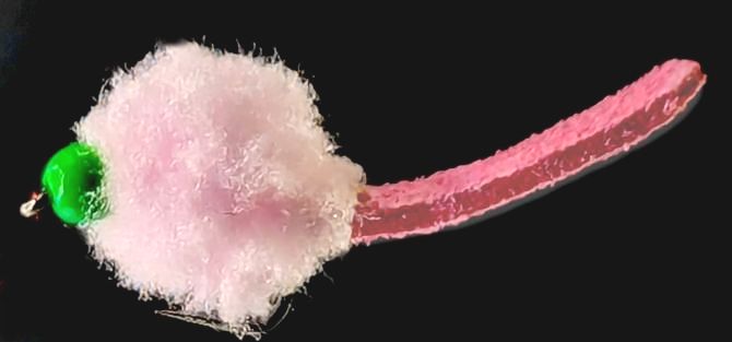 Eggstasy  egg ,Candy Pink  - shammy Tailed hot head Green #12 BARBLESS / E85