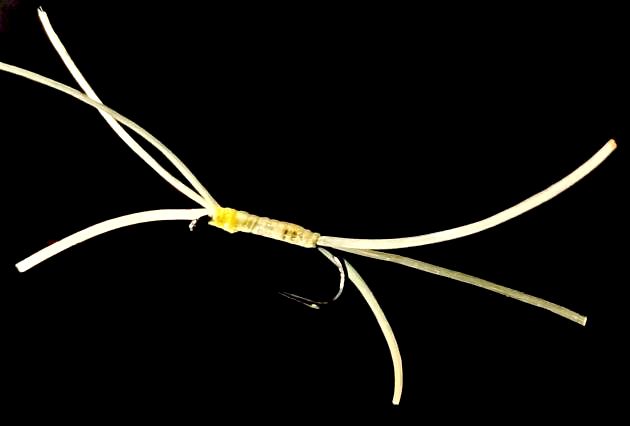 Bloodworm-Apps-LT Cahill #10 Barbless BL117