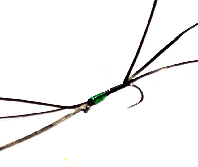 Bloodworm-Apps Viva #10 Barbless 6 Legs  BL119