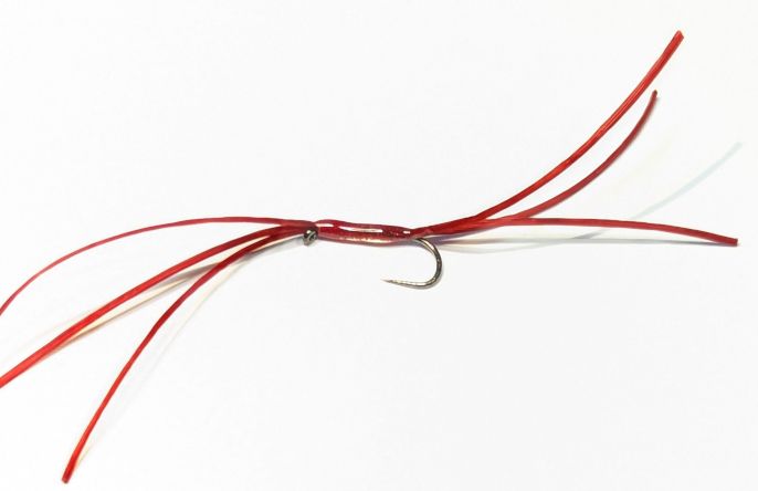 Bloodworm-Apps Brandling Red #10 Barbless 6 Legs  BL173B