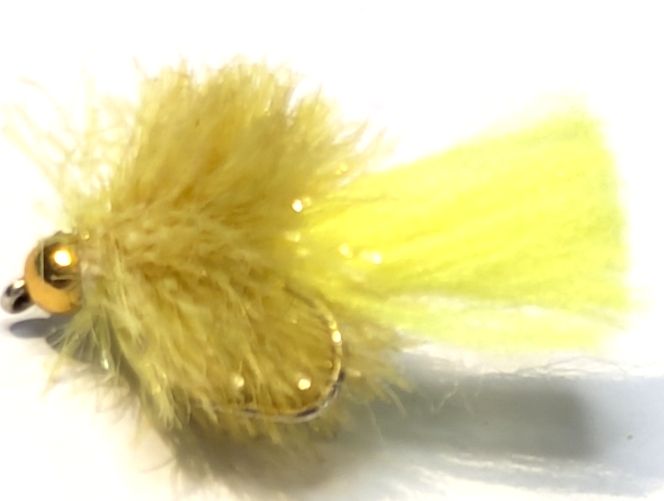 5 X   Blob,FL Yellow Tail Goldhead, barbless #10  BL49