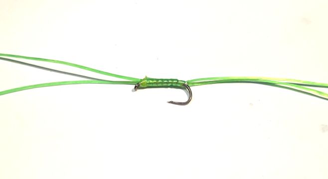 Bloodworm-Apps Lime  #10 Barbless 4Legs  BL181