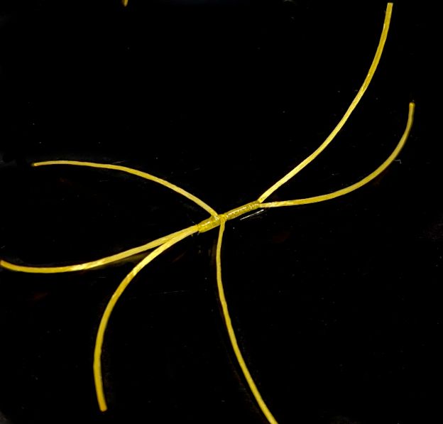 Bloodworm-Apps Amber  #10 Barbless 6Legs  BL182