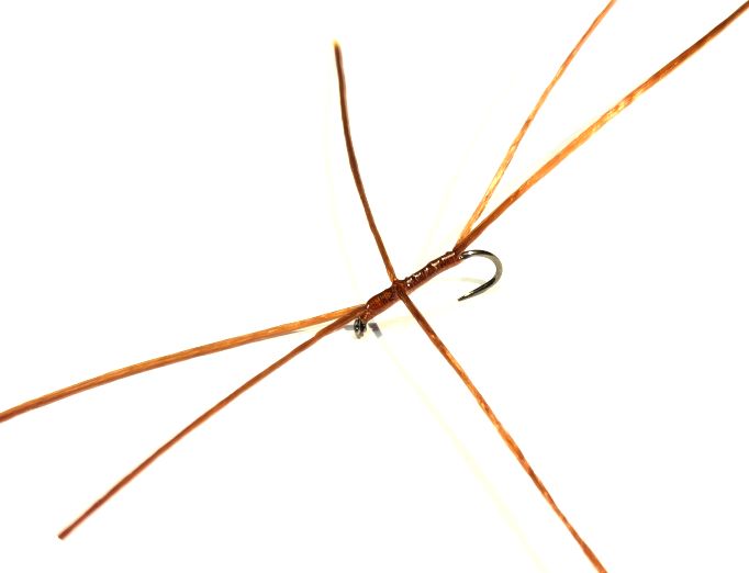 Bloodworm Apps  Brown  #10 Barbless 6 Legs  BL184