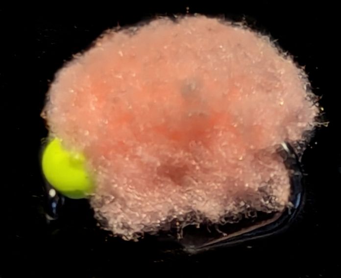 Eggstasy  egg ,Sockeye,  - hot head Yellow, Barbless #10 E120