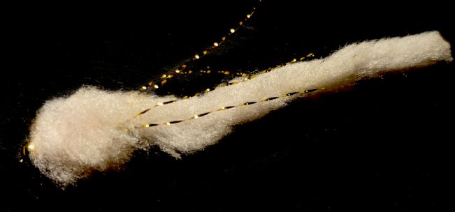 Eggstasy worm, Biscuit /Gold Flash  # 10 barbless Trout flies EW24