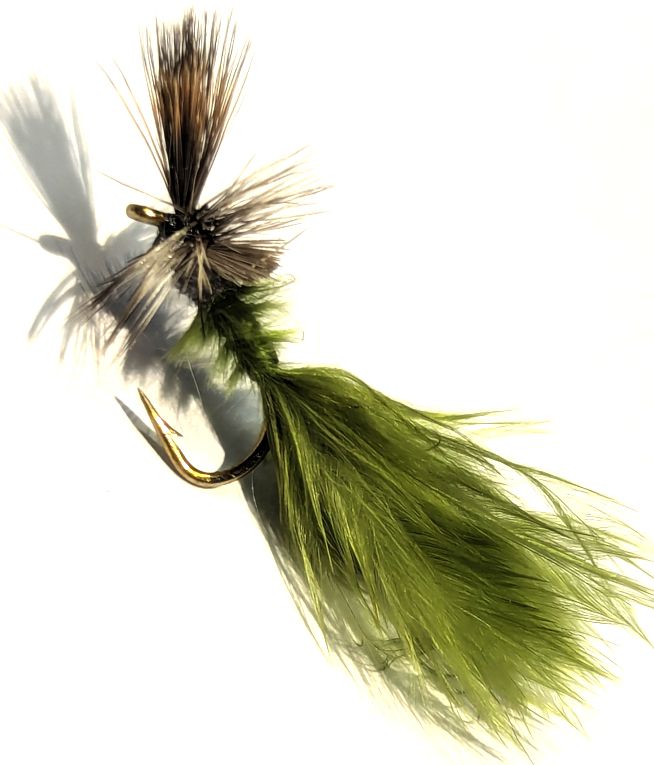 Olive Cripple  [DR 66]