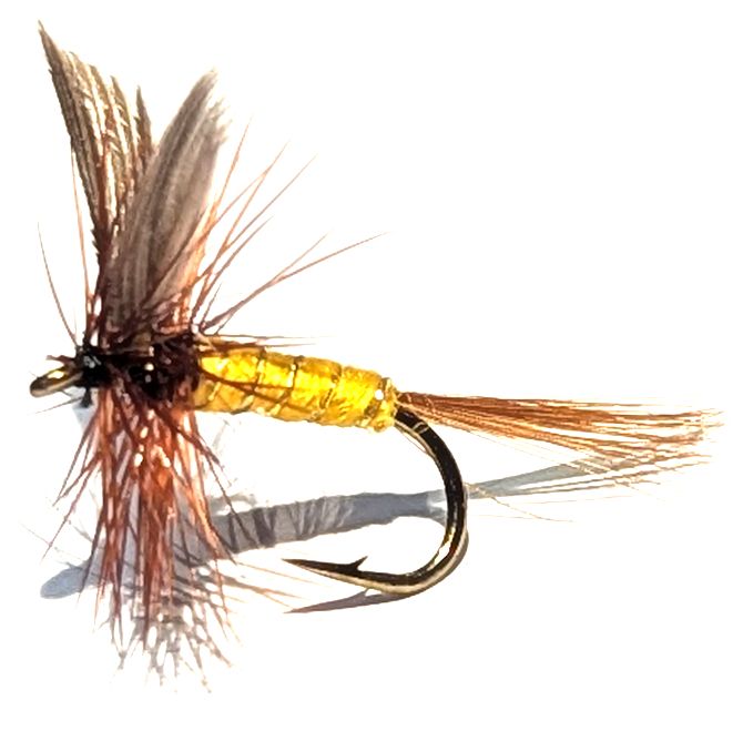 Wickhams Fanc #14 /DR 56