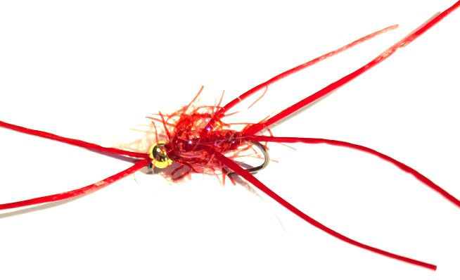 Bloodworm Apps  Straggle Red Goldhead  #10 Barbless 6Legs  BL187