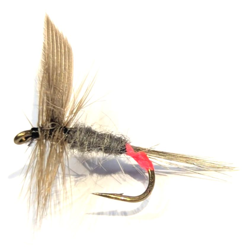 Iron Blue Dunn #14 barbed  /DR 52