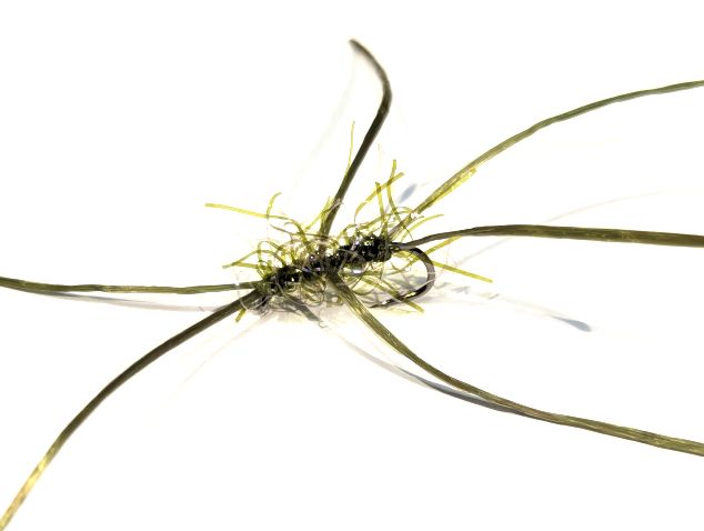 Bloodworm Apps  Straggle Olive unweighted  #10 Barbless 6Legs  BL191