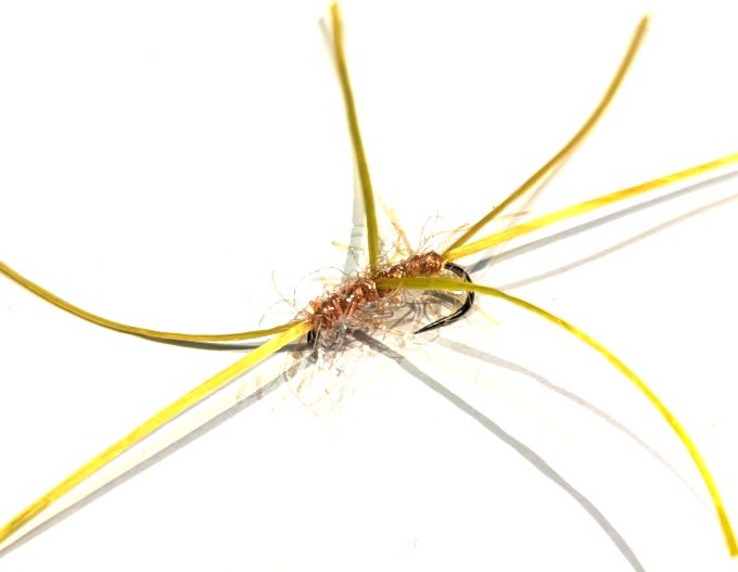 Bloodworm Apps  Straggle Amber Unweighted   #10 Barbless 6Legs  BL193