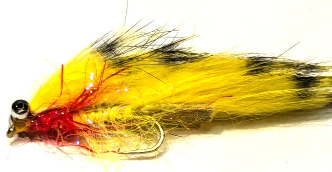Zonkers barred Yellow/Black  #10 barbed Z109