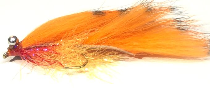 Zonkers barred Orange /Black  #10 barbed Z114