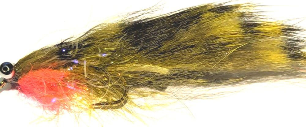 Zonkers Barred UV Olive /Black  #10 barbed Z117