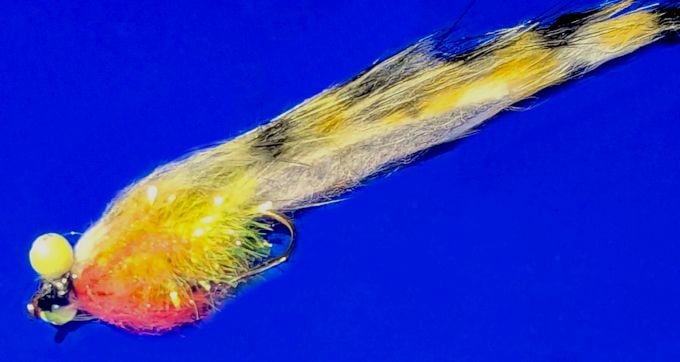 Zonkers Barred White Black yellow  #10 barbed Z120