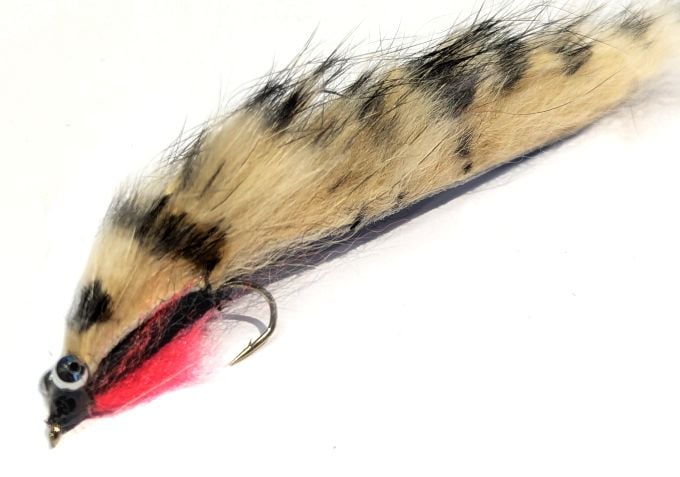 Zonkers Barred Beige/ Black  #10 barbed Z121