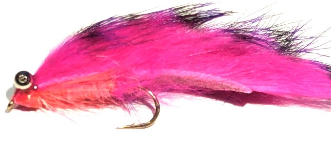 Zonkers fuchsia pink/ Black  #10 barbed Z123