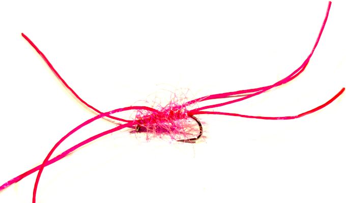 Bloodworm Apps  Straggle Pink Unweighted   #10 Barbless 6Legs  BL194