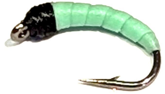 maggot,Latex- lt lime - Black #16  Barbed mag 7