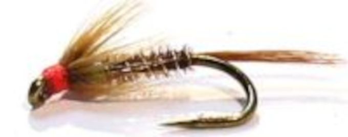 5 x Cruncher red head #12 barbed [CR20]