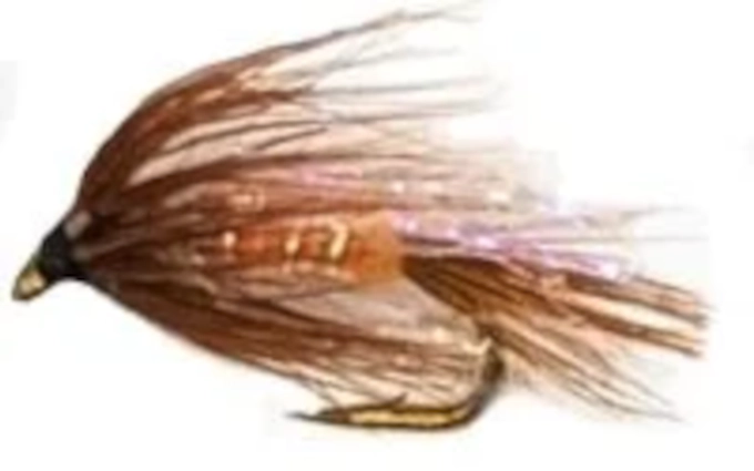 5 x Cruncher -Orange UV#12 [CR19]