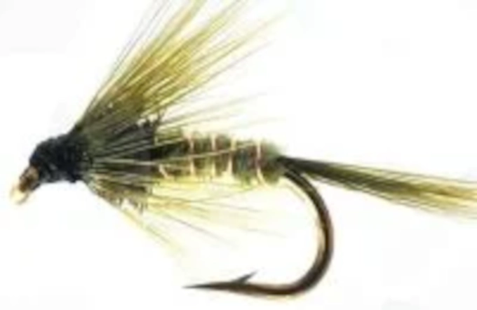 5 x Cruncher,Olive #12 [CR15]