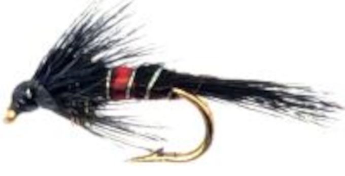 5 x Cruncher -Bibio # 12 barbed [CR1]