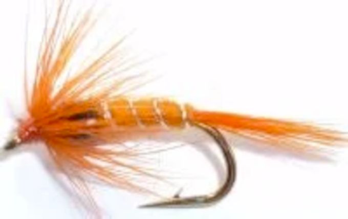 5 x Cruncher's -Orange #12 Barbed [CR12]