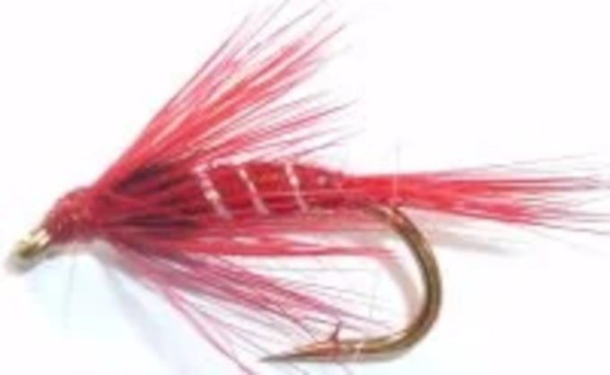 5 x Cruncher's - Red [CR11]